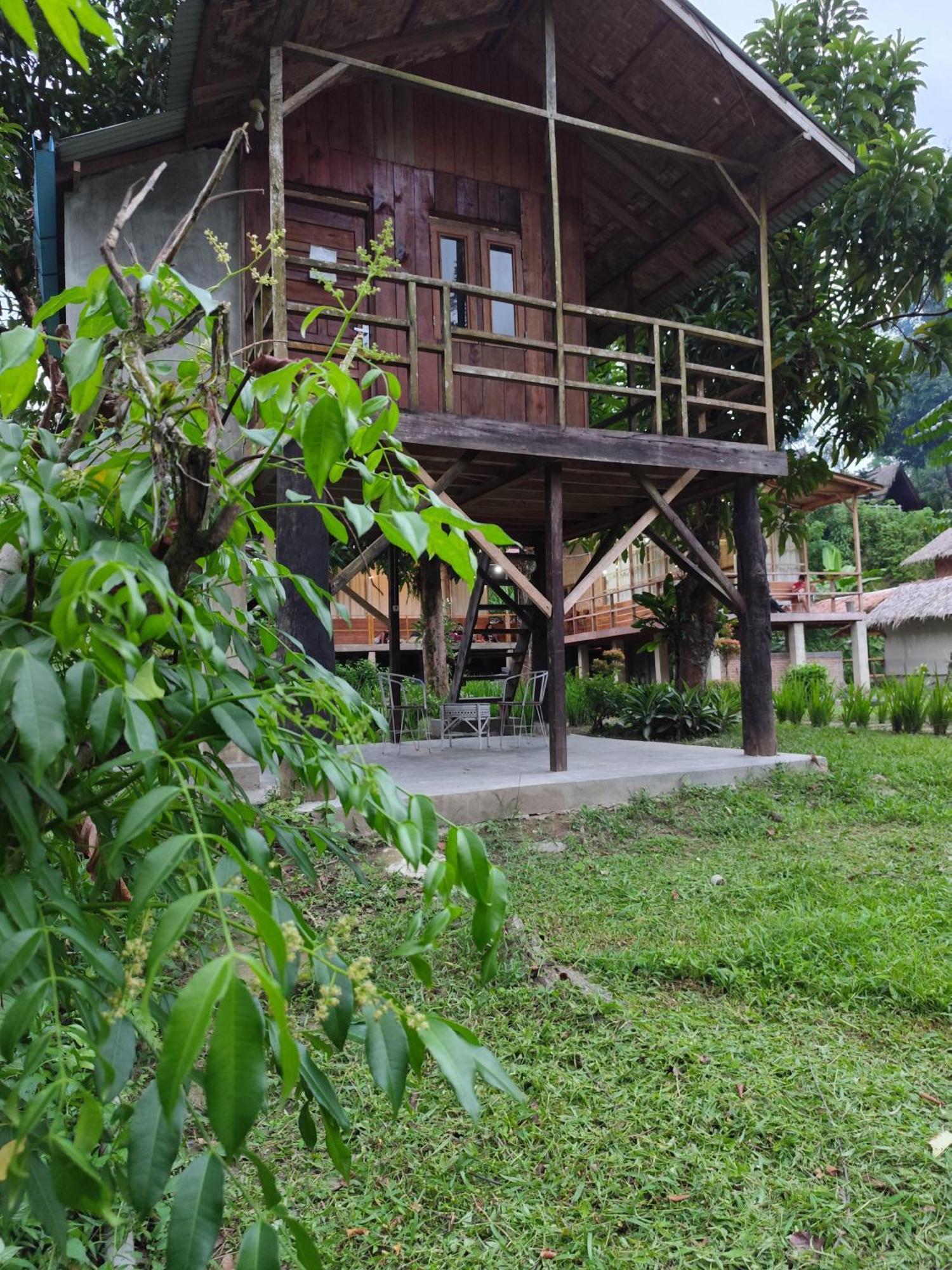Bua Guesthouse Tangkahan Экстерьер фото